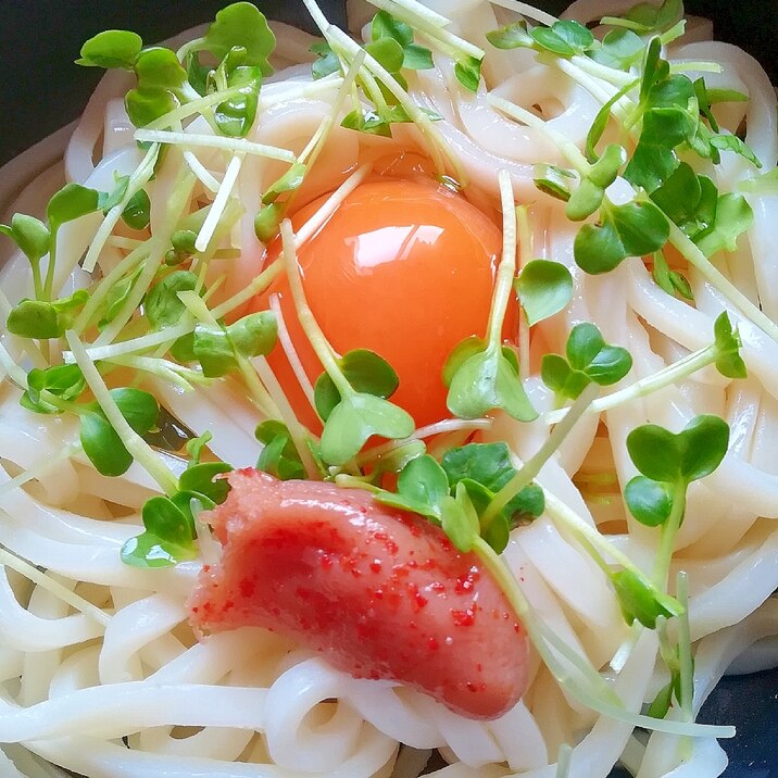 かいわれ大根と辛子明太子の釜玉うどん